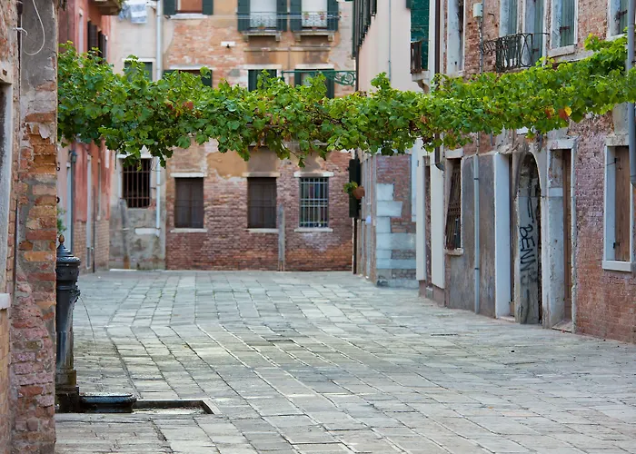 Alla Vite Dorata Venezia